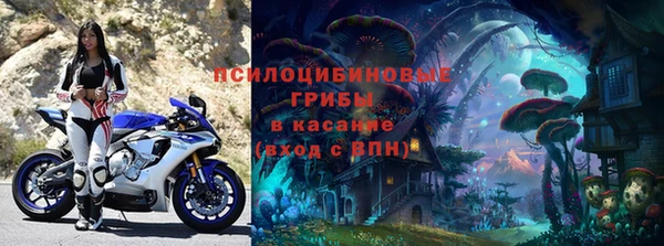 a pvp Алексеевка